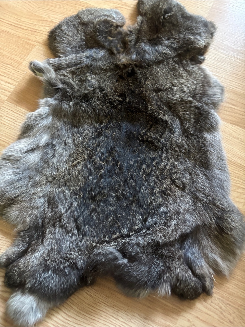 B0088 Natural Gray Rabbit Fur Pelt - Picture 3 of 4